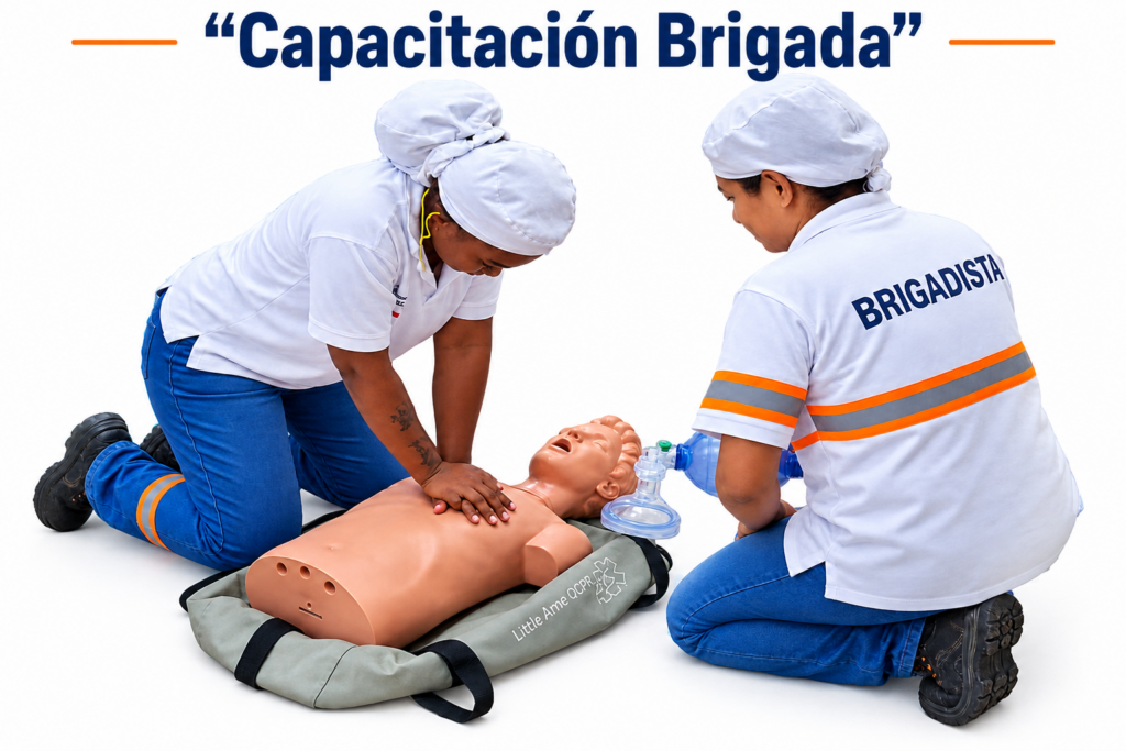 capacitacion brigada